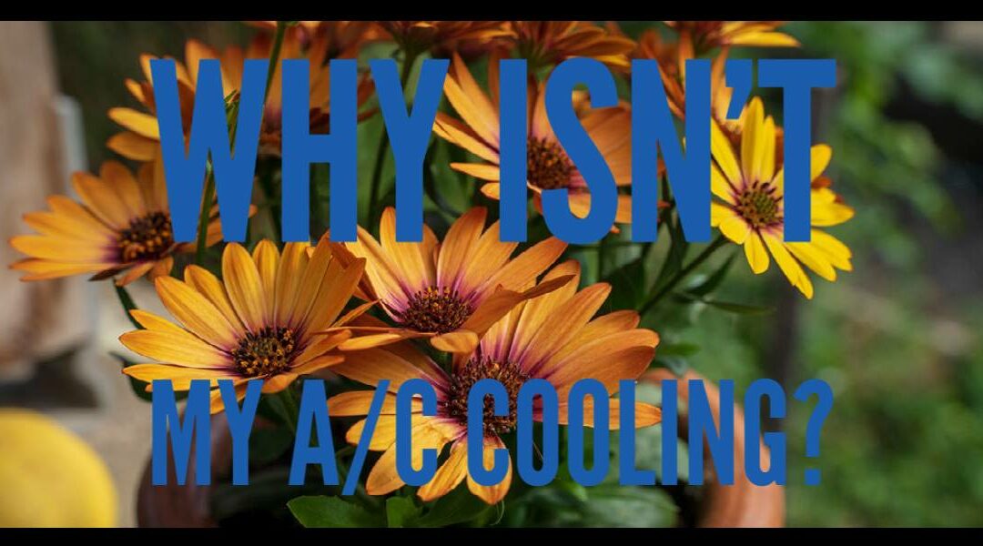 Why is my A/C not cooling?