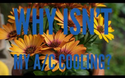Why is my A/C not cooling?
